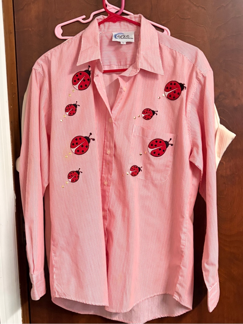 VTG Pinstripe Button Down Relaxed Fit Embroidered & Embellished Ladybug Blouse